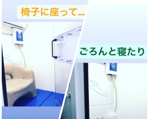 image_6483441 (1)
