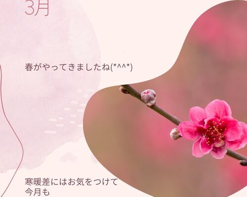 image_6483441 - 2022-03-02T135650.484